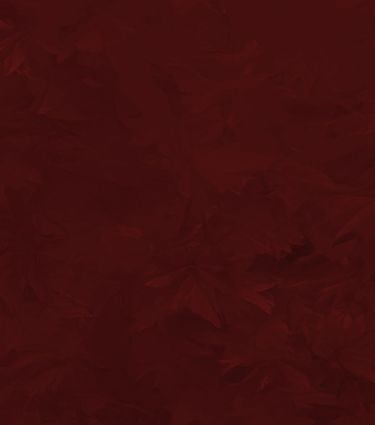 Garnet Red