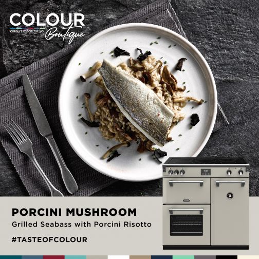 Porcini Mushroom Colour Boutique Recipe