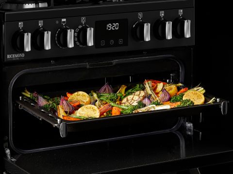 Conventional Oven and Grill