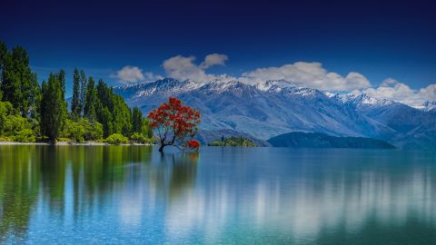 Colour Boutique Nature Image